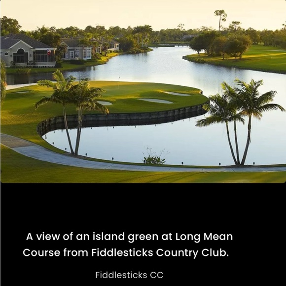 Bermuda Sands Purple Fiddlesticks Golf Polo Size L Wicking Performance Shirt Top - Picture 16 of 16